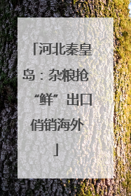 河北秦皇岛：杂粮抢“鲜”出口 俏销海外